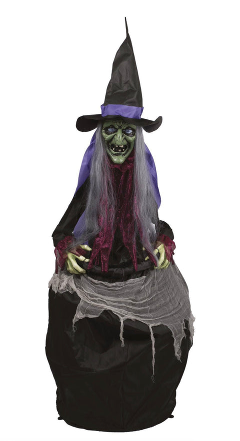 Sorcière avec chaudron