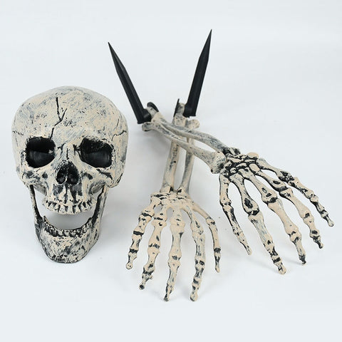 squelette et crane halloween