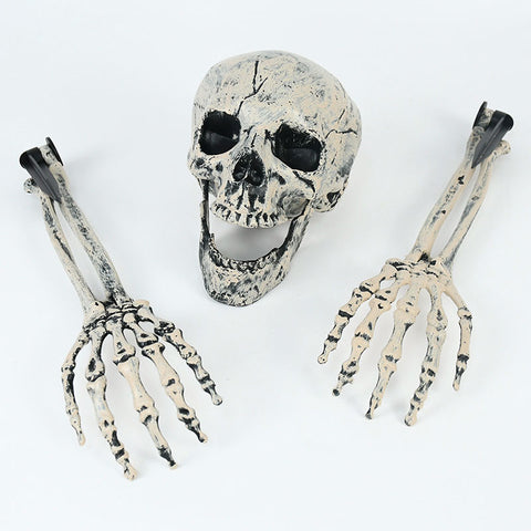 squelette et crane halloween