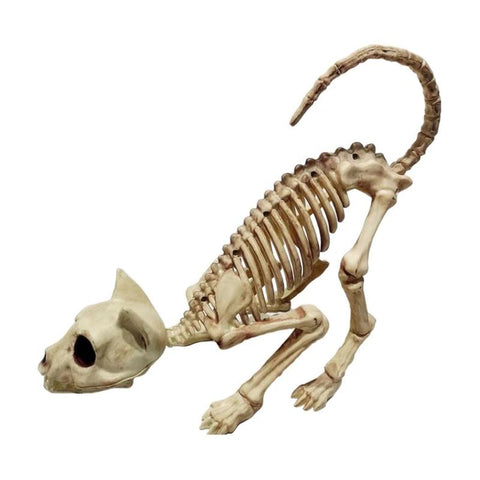 squelette-chat-halloween