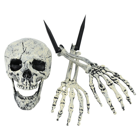 squelette et crane halloween