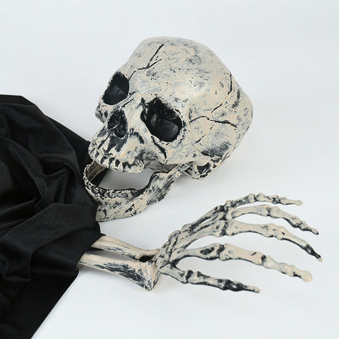 crâne squelette halloween
