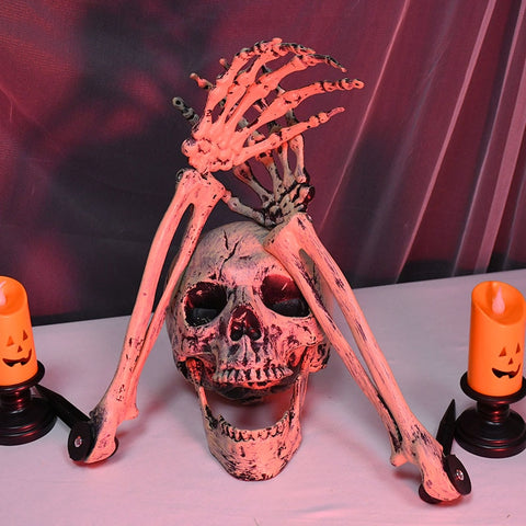 squelette et crane halloween