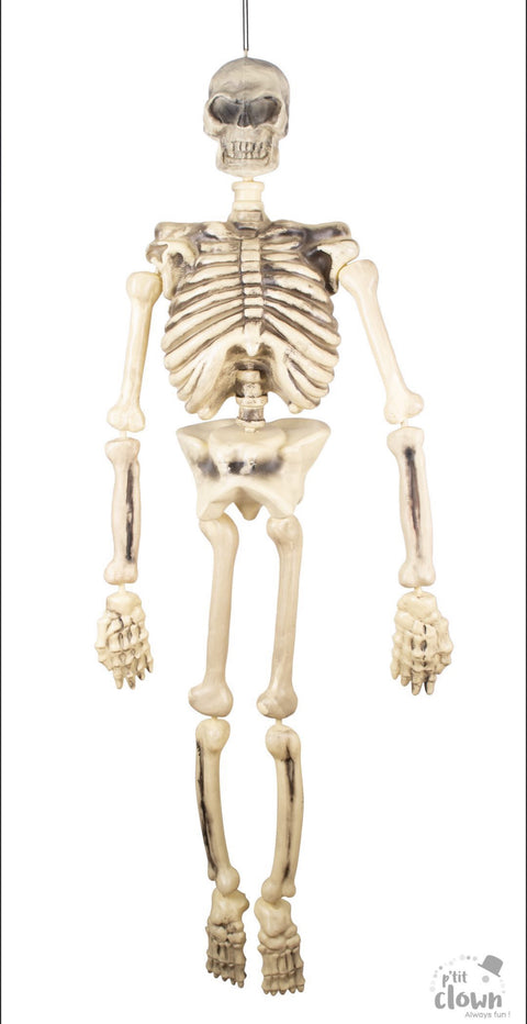 decoration-halloween-squelette-articule
