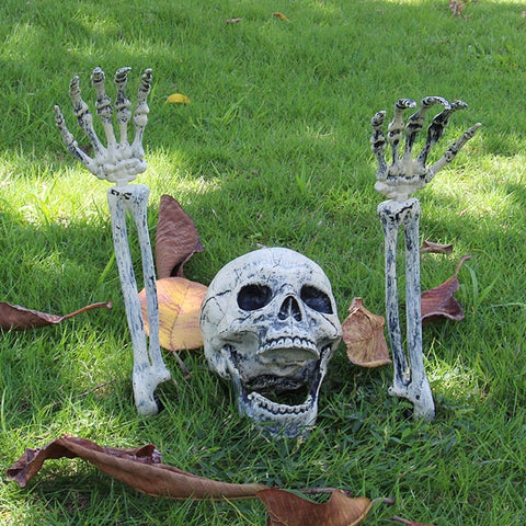 squelette et crane halloween