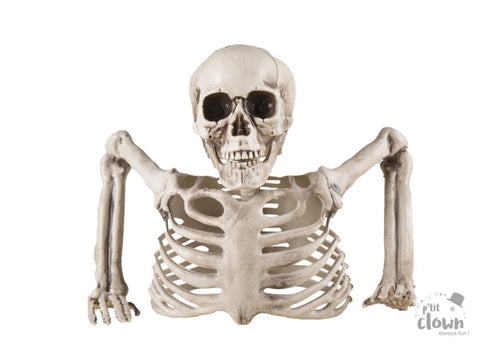 Demi squelette Halloween à poser