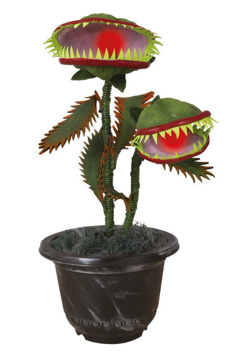 Plante carnivore animée