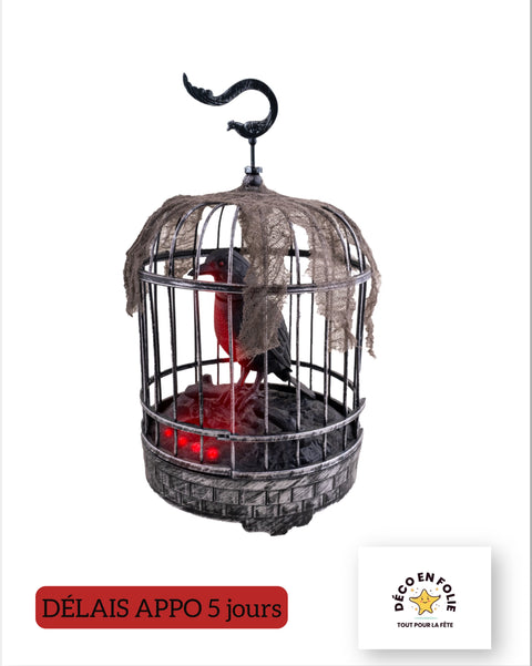 Corbeau animé en cage