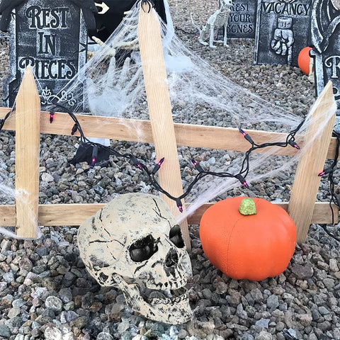 crâne squelette halloween