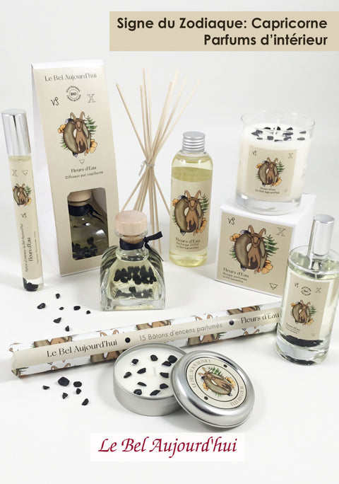 Bougie parfumée zodiaque capricorne ￼