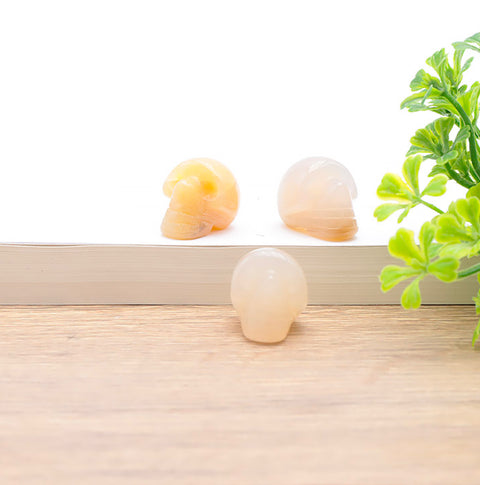 Crâne en Agathe du Botswana ￼