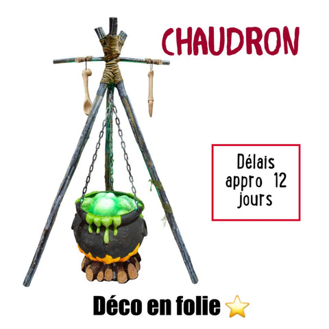 decoration-halloween-chaudron-animatronique-sorciere 