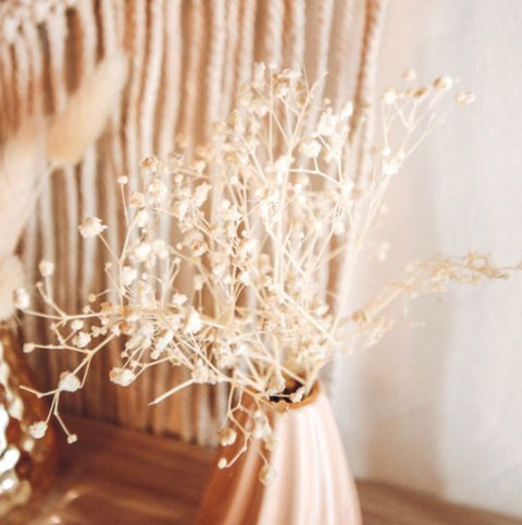 Mini Branches de Gypsophile Séché – Crème 5 cm (env. 20 pcs) | Décoration Florale Chic