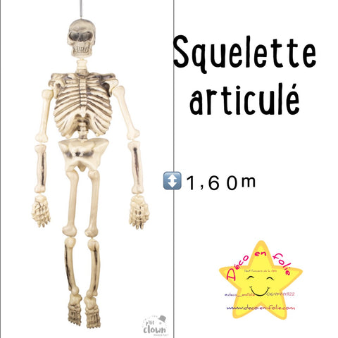 Squelette articulé 150cm