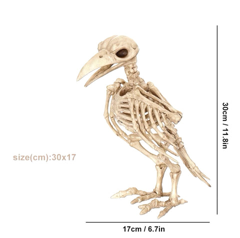 squelette corbeau halloween