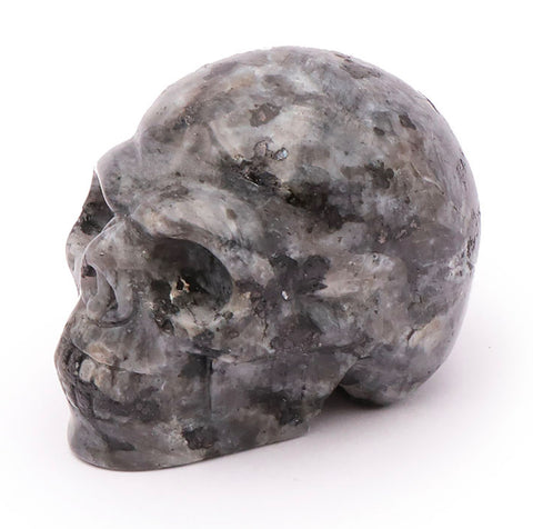 Crâne en larvikite