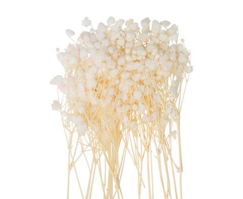 Mini Branches de Gypsophile Séché – Crème 5 cm (env. 20 pcs) | Décoration Florale Chic