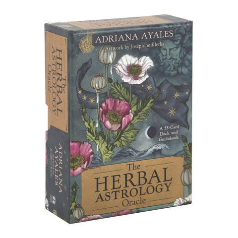 oracle-plantes-adriana-ayales-deco-en-folie-montbrison