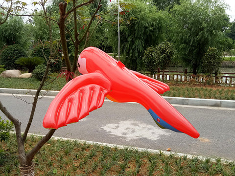 Perroquet gonflable