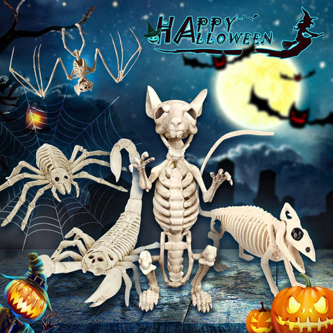 squelette de chauve souris halloween